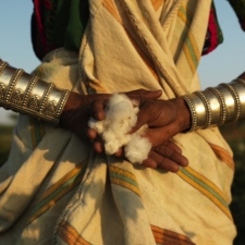A woman holds cotton burls in her hands, clasped behind her back.